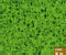 Four Leaf Clover - Puzzle Game