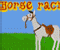 Horse Racin -  Sports Game