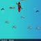 dc8p Fishwater Challenge - Sports Game